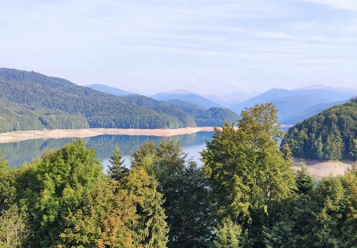 IMG_20220820_091054_v1